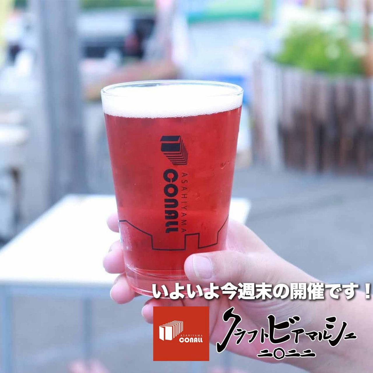 いよいよ今週末の開催です！旭山コナール自社テント&カフェビールリスト公開