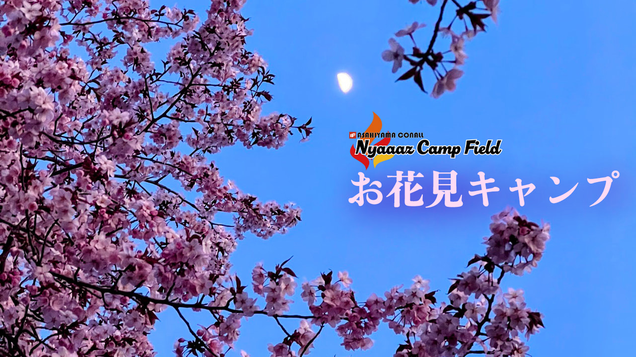 ＧＷはお花見キャンプ